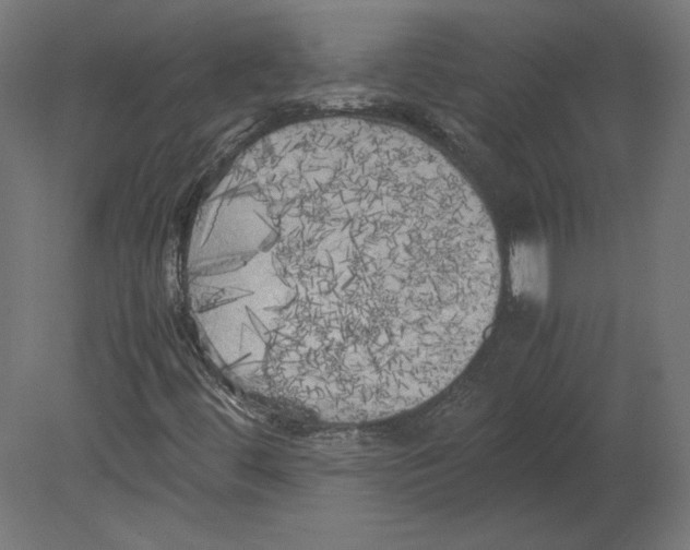 X0000080701444200701121739