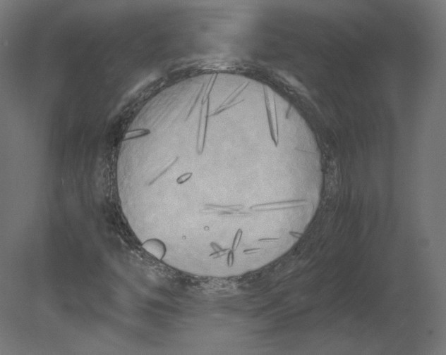 X0000080701446200701121739
