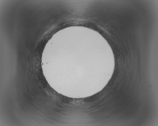 X0000080701447200701121739