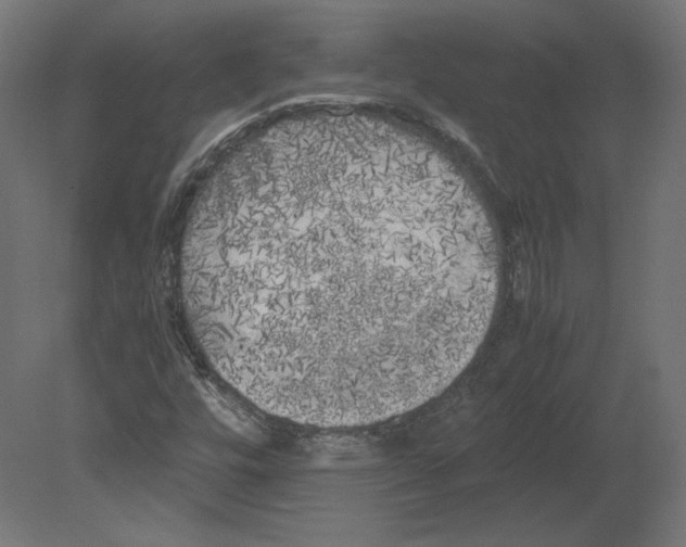 X0000080701448200701121739