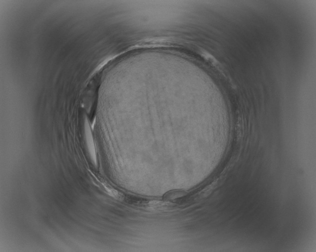 X0000080701449200701121739