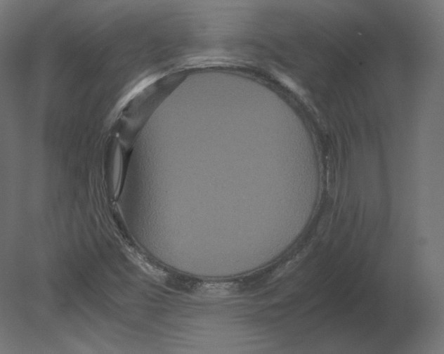 X0000080701453200701121739