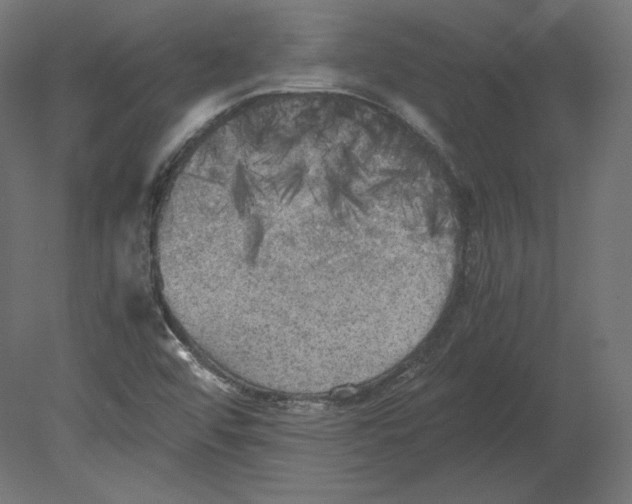 X0000080701456200701121739