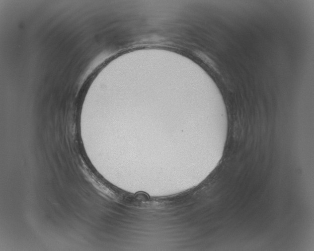 X0000080701458200701121738