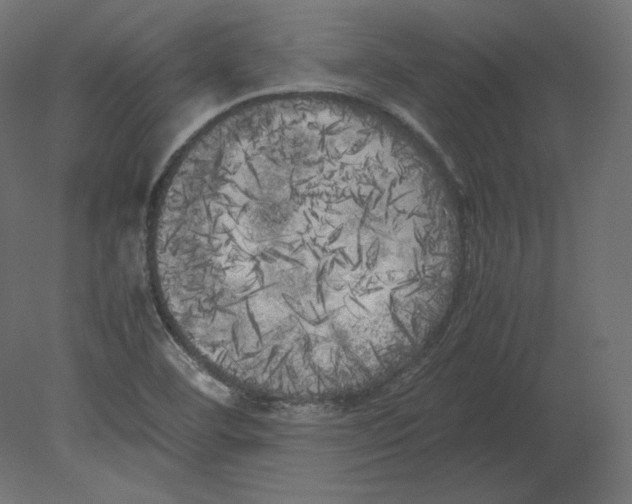 X0000080701460200701121738