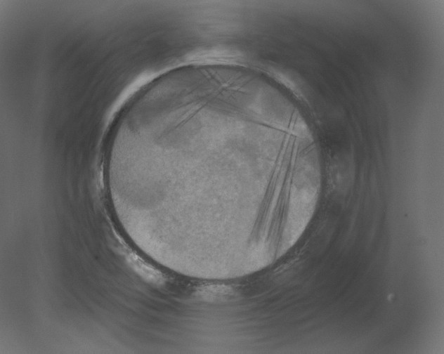 X0000080701462200701121738