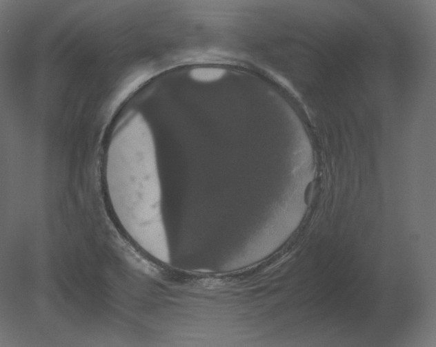 X0000080701463200701121738