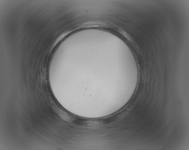 X0000080701465200701121738