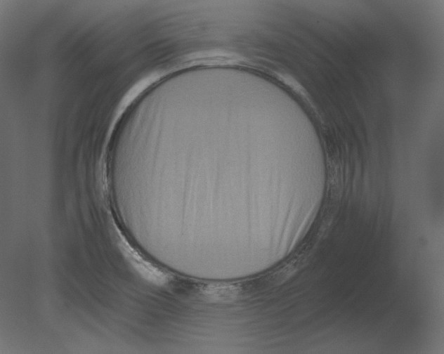 X0000080701466200701121738