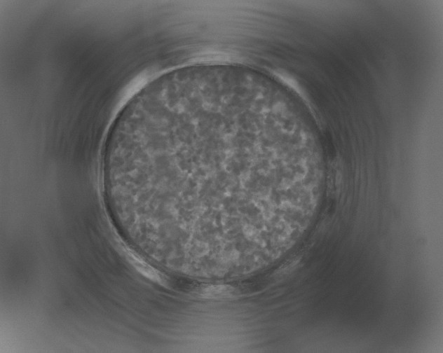 X0000080701467200701121738