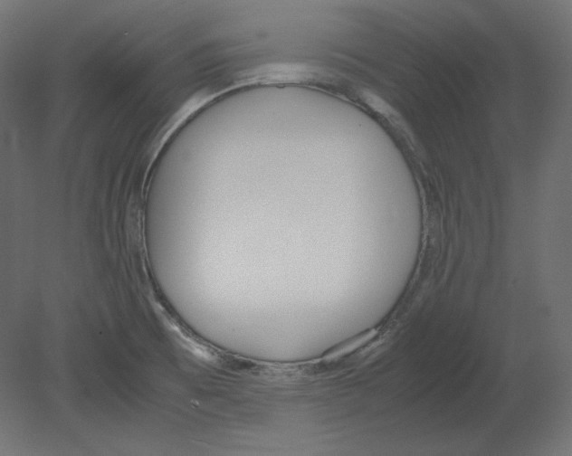 X0000080701473200701121738
