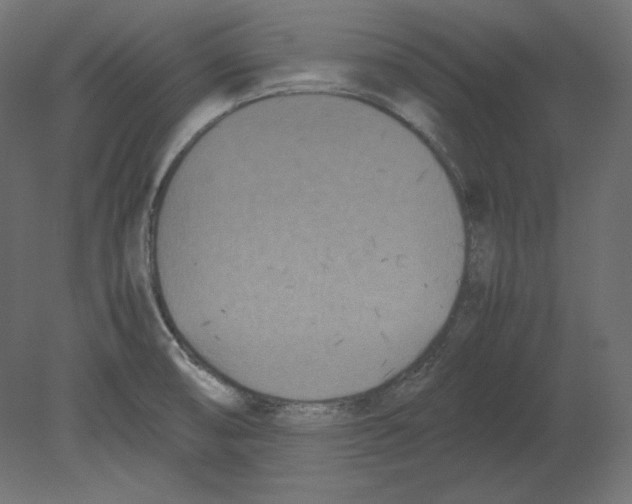 X0000080701474200701121738