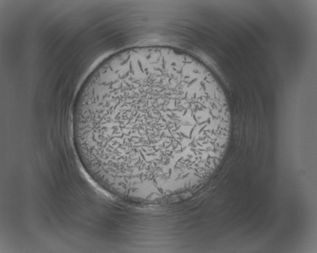 X0000080701476200701121738