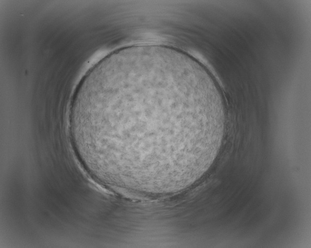 X0000080701477200701121738
