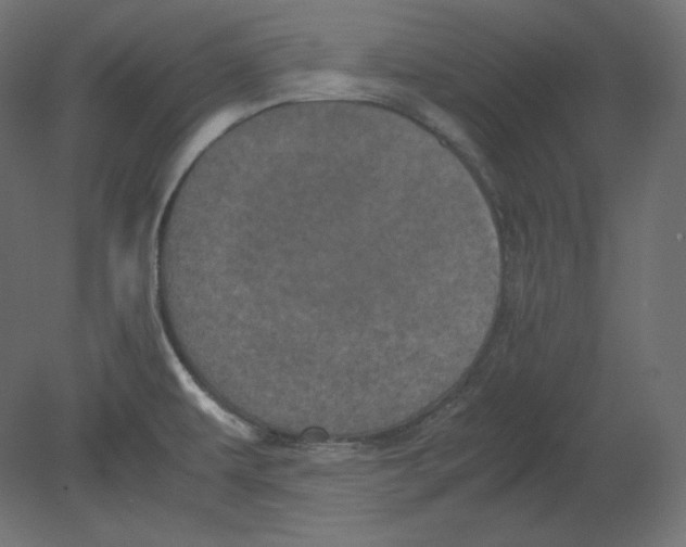X0000080701479200701121738