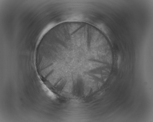 X0000080701480200701121738
