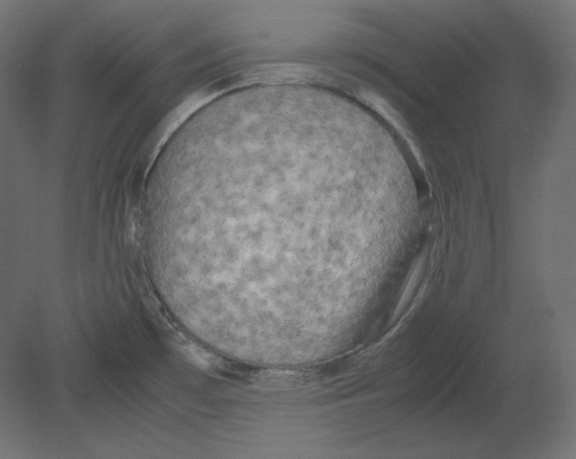 X0000080701481200701121738