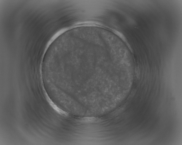 X0000080701482200701121738