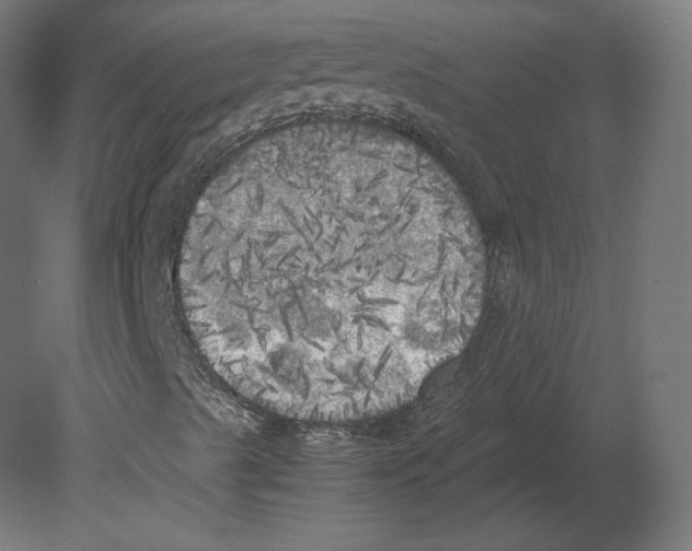 X0000080701489200701121737
