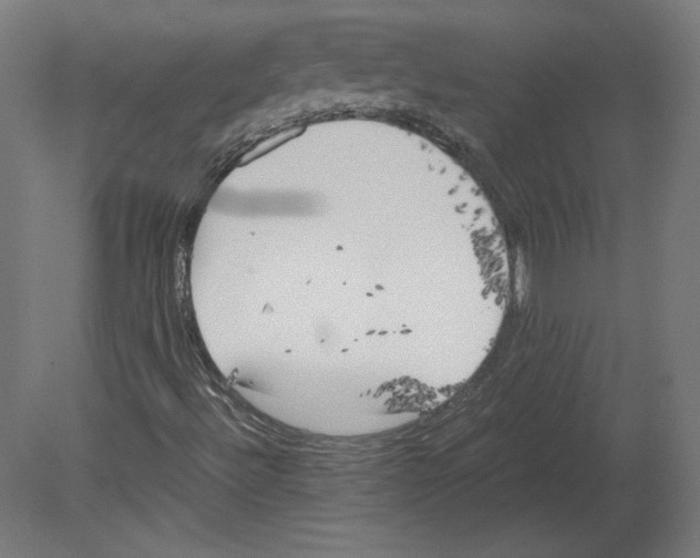 X0000080701492200701121737