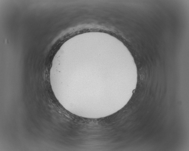 X0000080701495200701121737