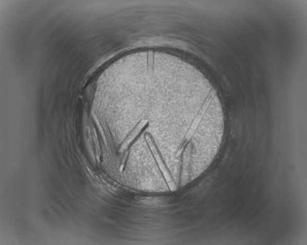 X0000080701497200701121737