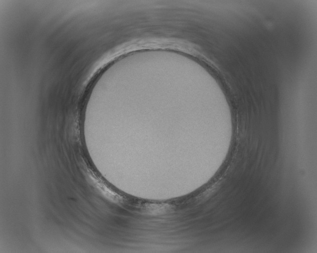 X0000080701498200701121737