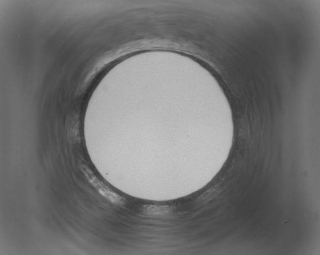 X0000080701499200701121737