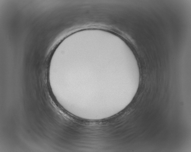 X0000080701504200701121737