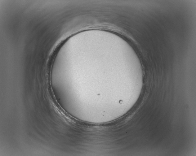 X0000080701506200701121737