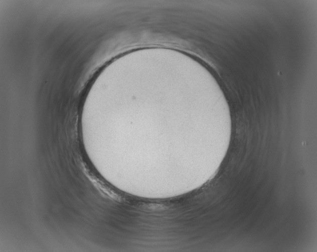 X0000080701507200701121737
