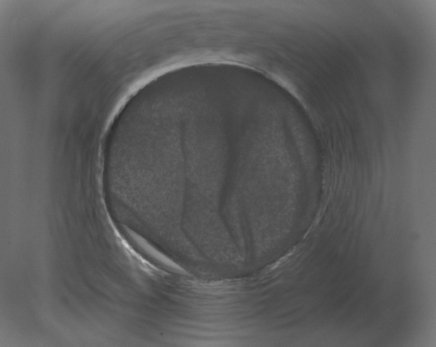 X0000080701508200701121737