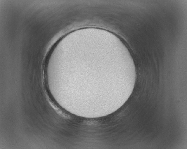 X0000080701511200701121738