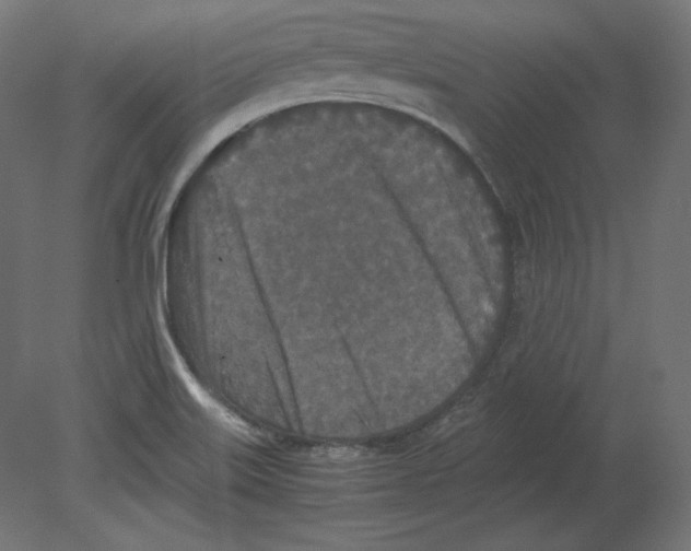 X0000080701515200701121738