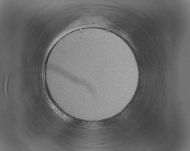 X0000080701516200701121738