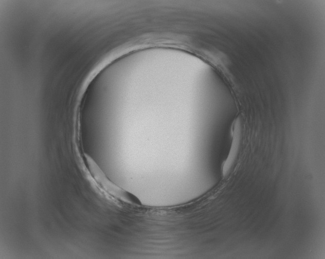X0000080701520200701121738