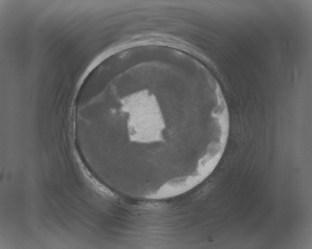 X0000080701522200701121738