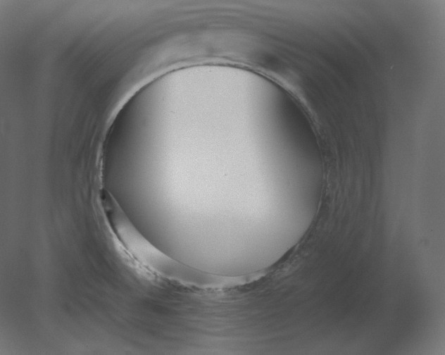 X0000080701524200701121738