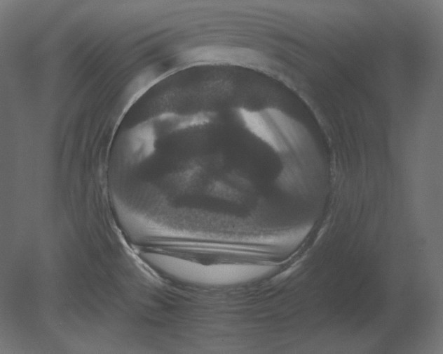 X0000080701529200701121738