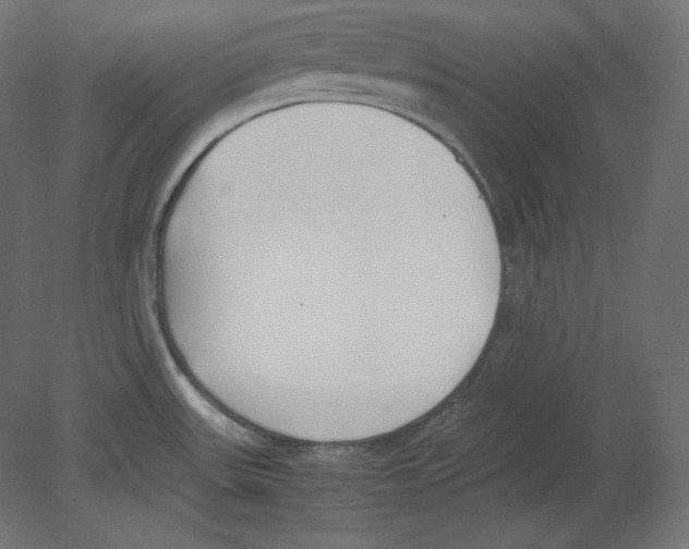 X0000080701531200701121738