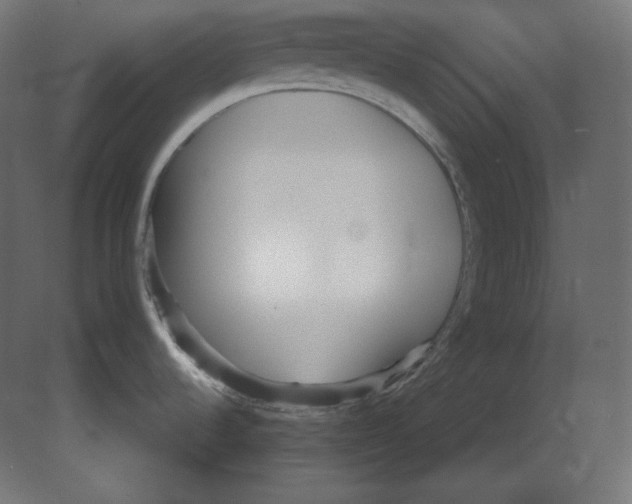 X0000080701536200701121738