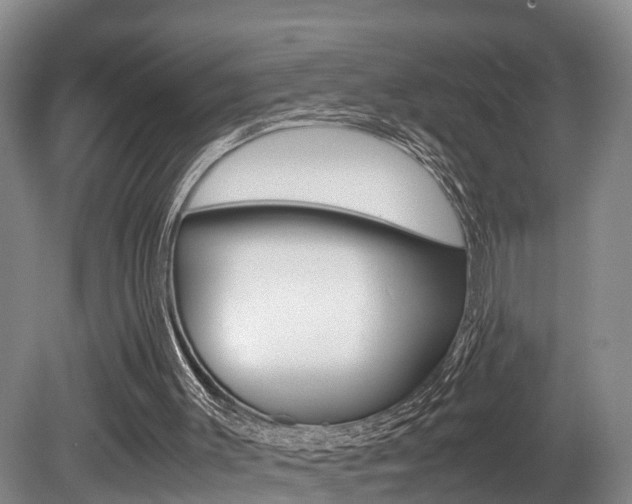 X0000080710003200612150914