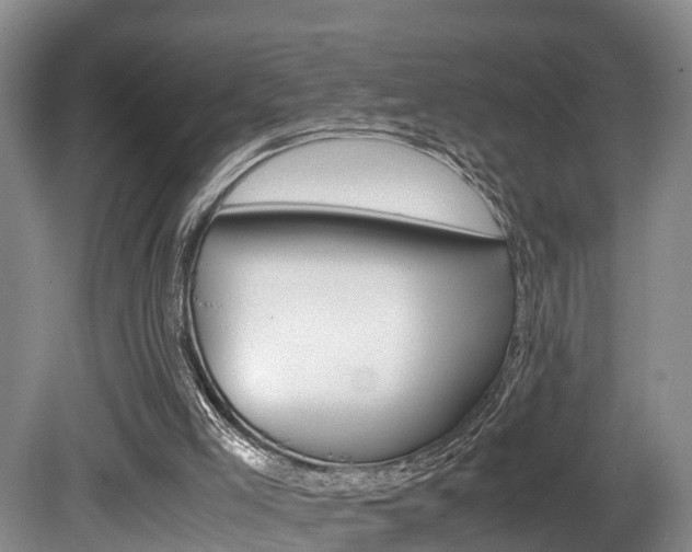 X0000080710005200612150914