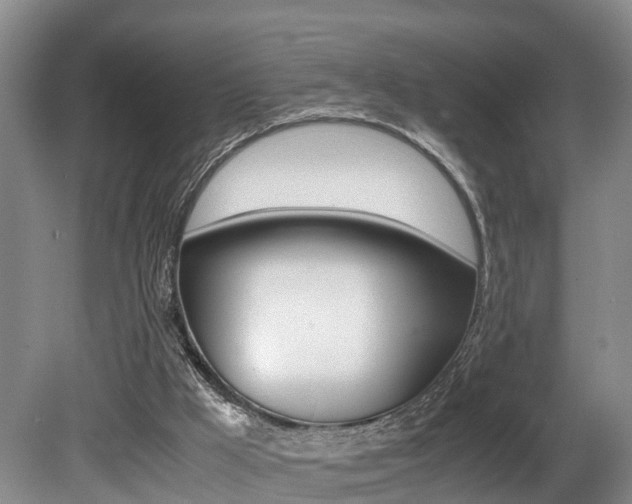 X0000080710009200612150914