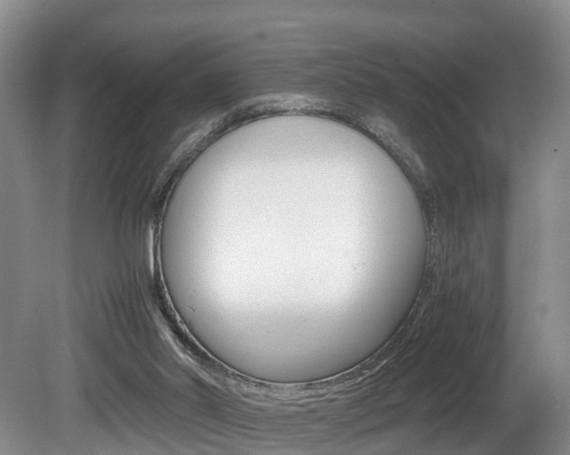 X0000080710014200612150914