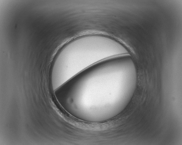 X0000080710015200612150914