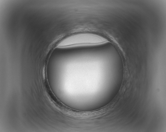 X0000080710019200612150914