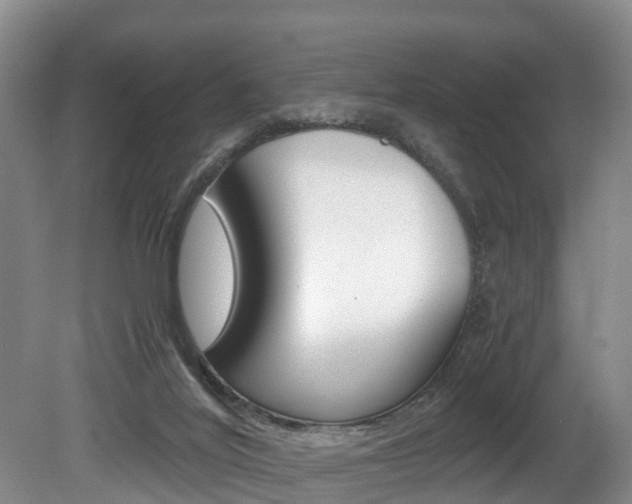 X0000080710020200612150914