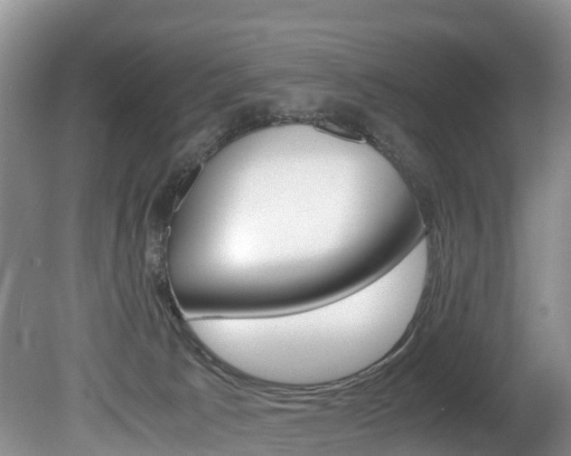 X0000080710033200612150914