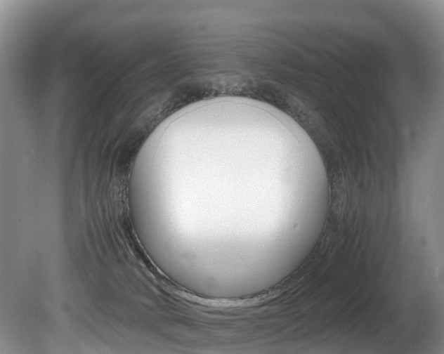X0000080710034200612150914